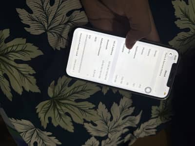 Apple iPhone 12 Pro Max