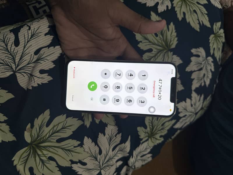 Apple iPhone 12 Pro Max 1