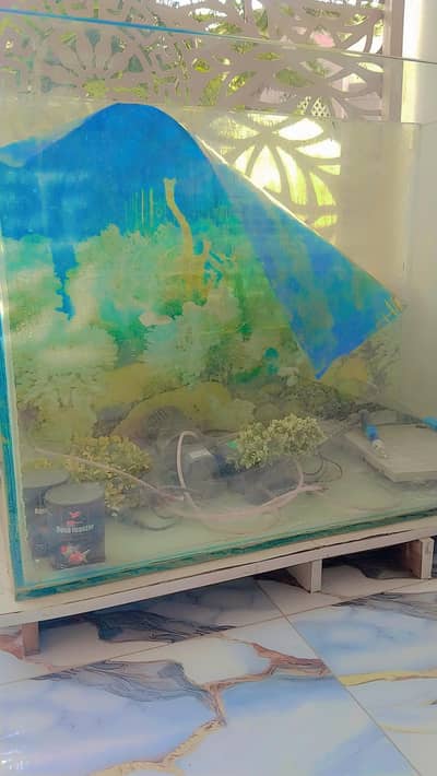 aquarium for sale