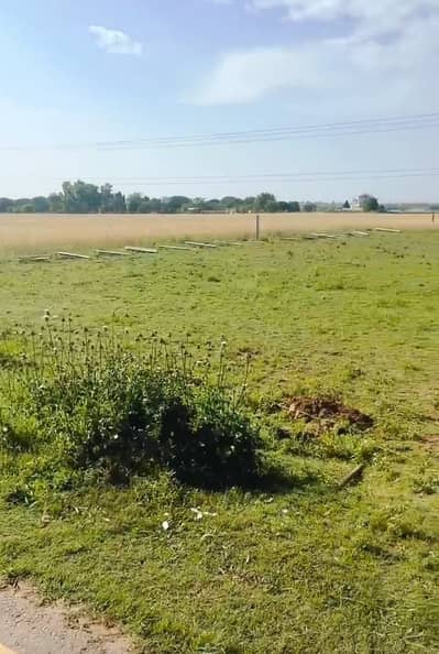 100 Kanal Land For Sale Ideal For University Or Medical College