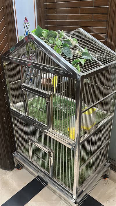 Bird,parrot cage