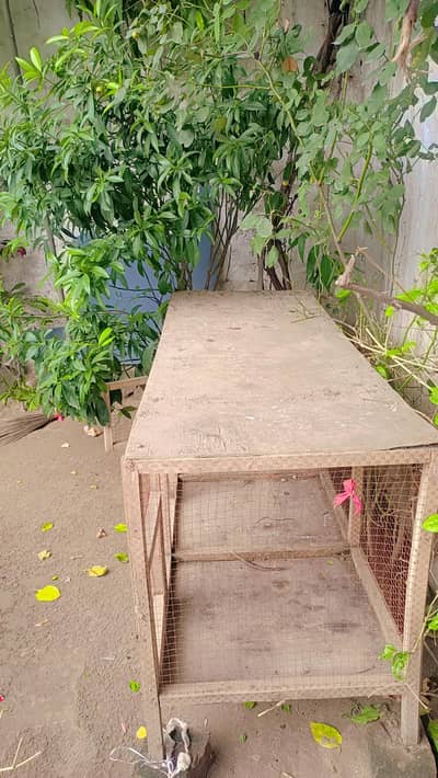 cage for Hen