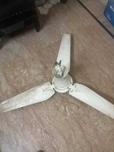Ceiling Fan For Sale - Good Condition - 56 Inch