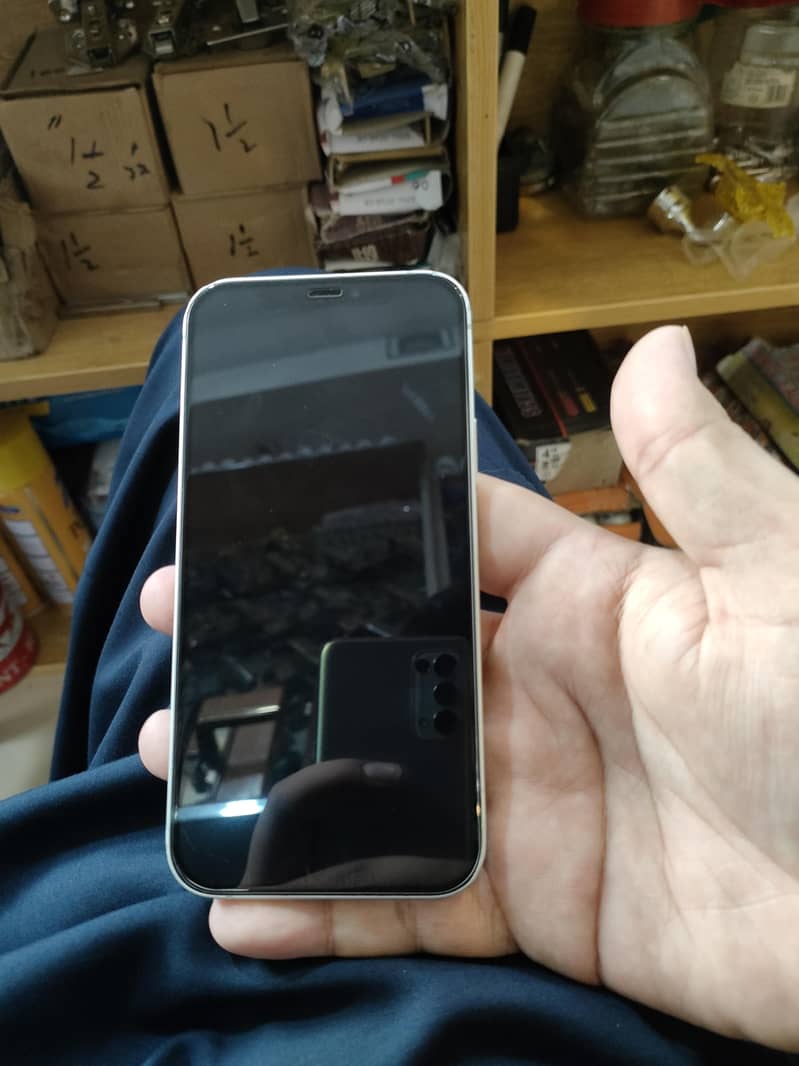 Apple iPhone 12 1