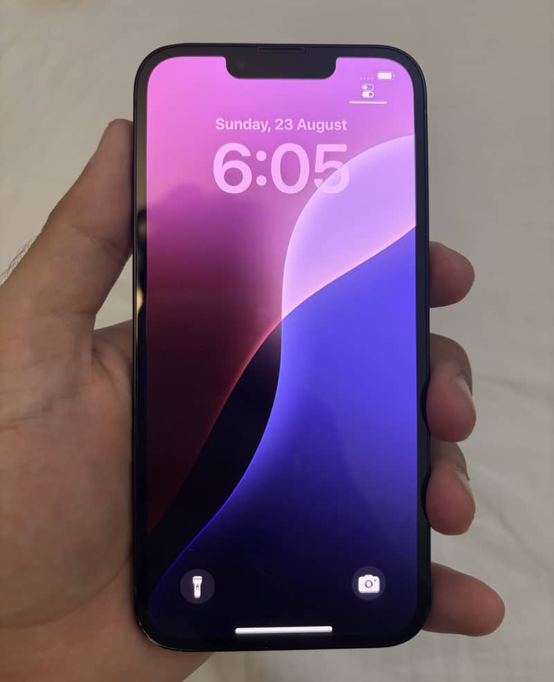 Apple iPhone 13 0