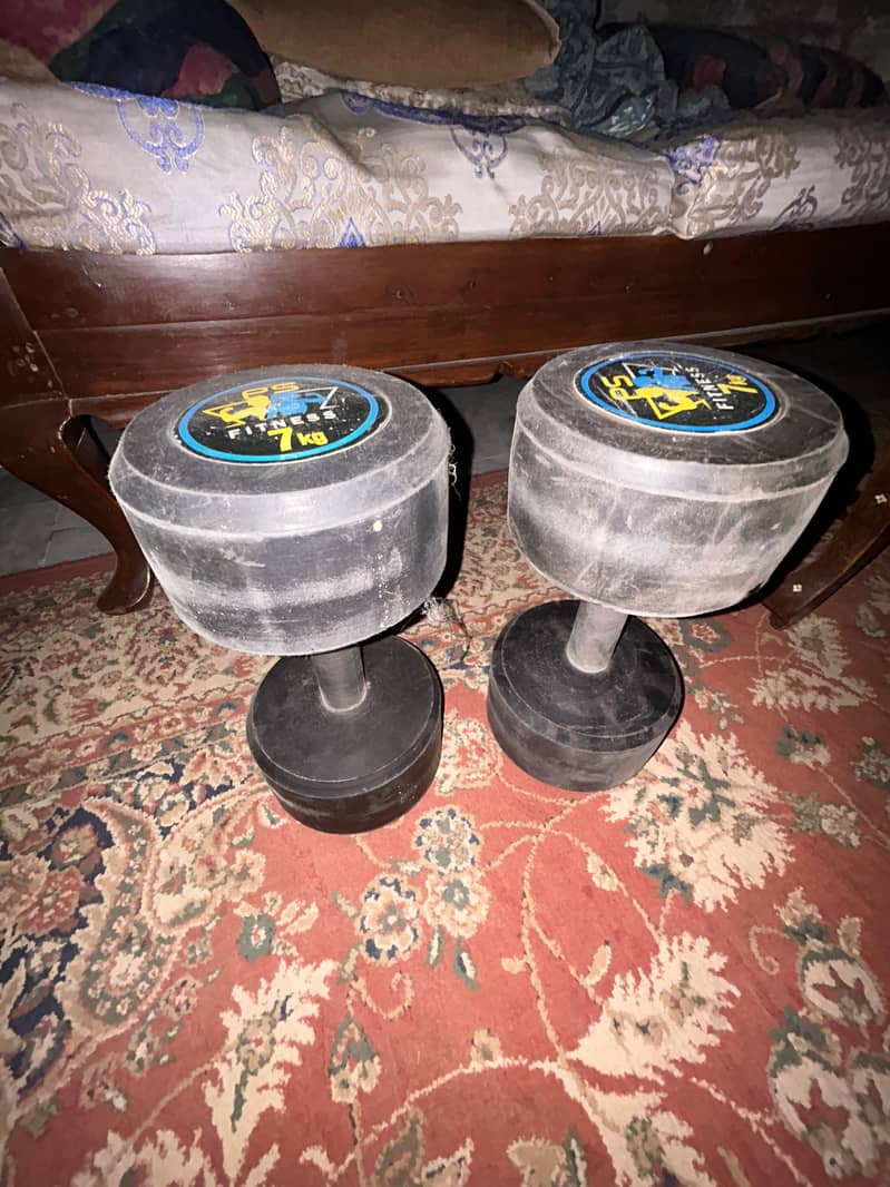 Rubber coded Dumbells for adults 1