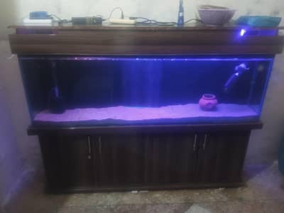 aquarium