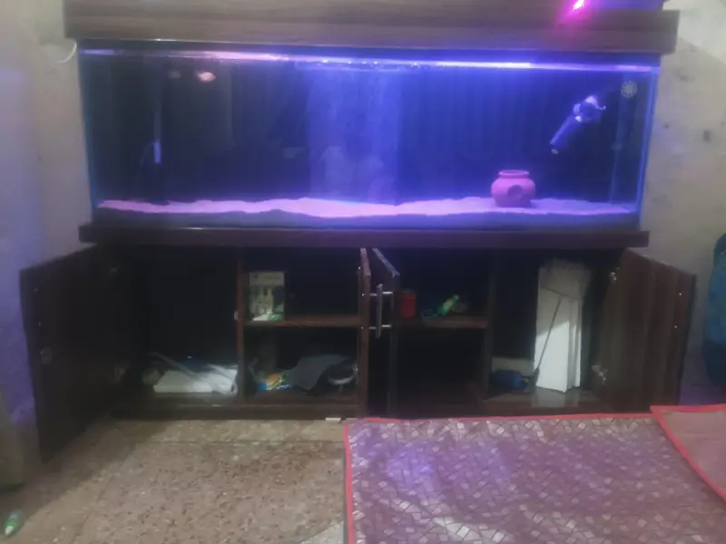 aquarium — photo 2
