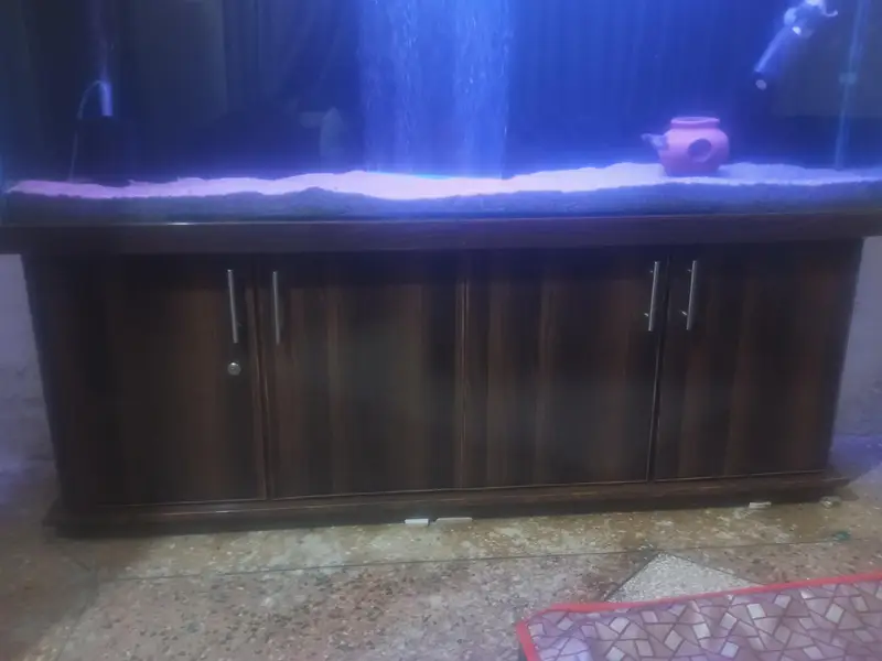 aquarium — photo 3