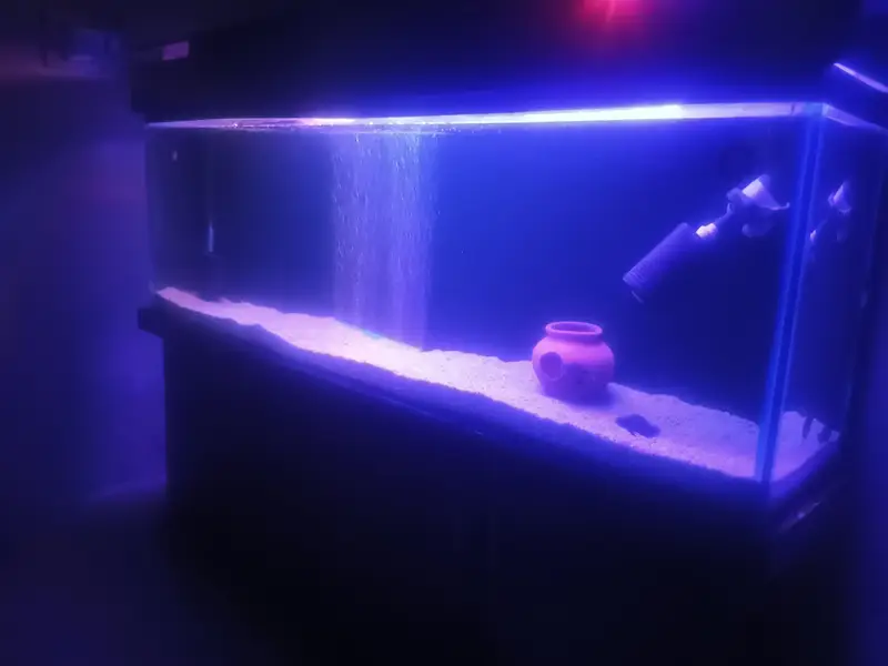 aquarium — photo 7