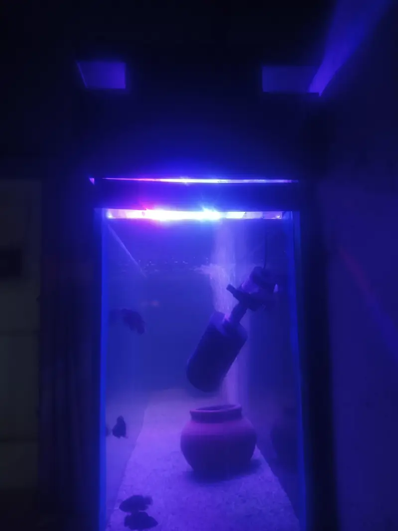 aquarium — photo 8