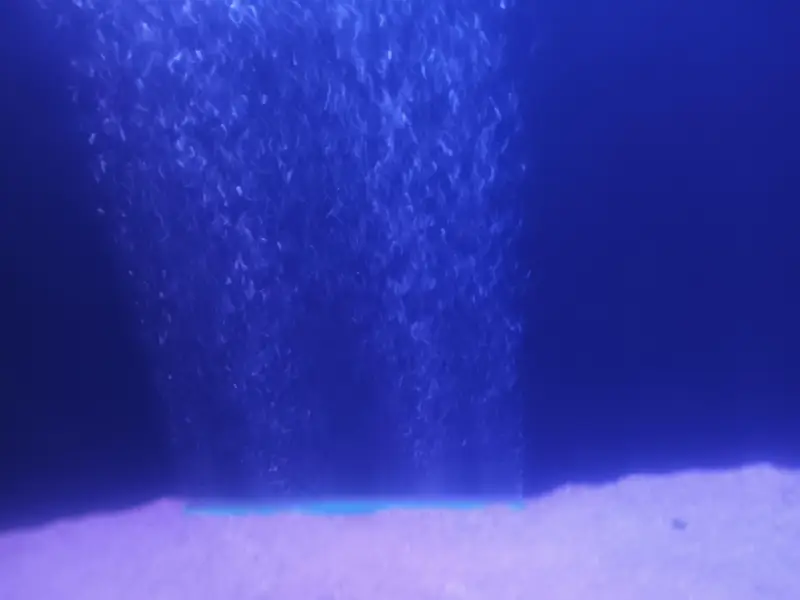 aquarium — photo 9