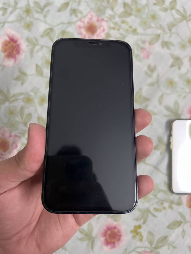 Apple iPhone 12 1