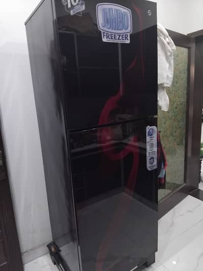 Pel jambo size 2 door refrigerator / Refrigerators / Fridge