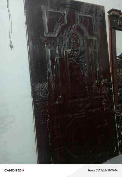 Fiber Door
