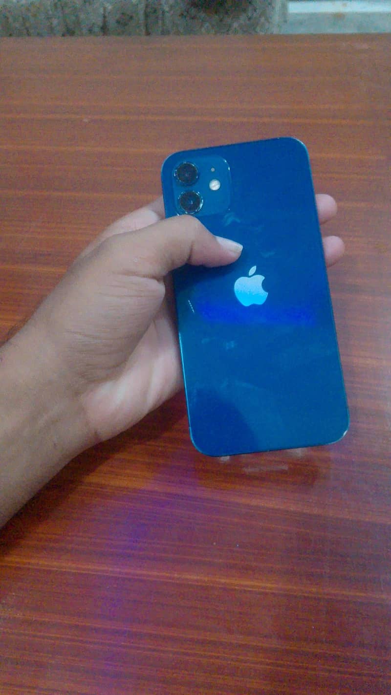 Apple iPhone 12 1