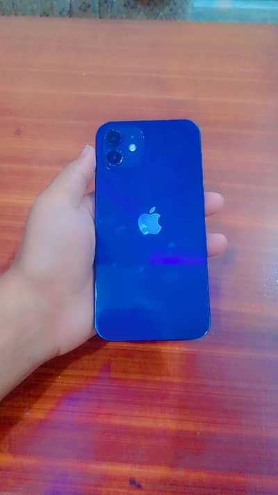 Apple iPhone 12