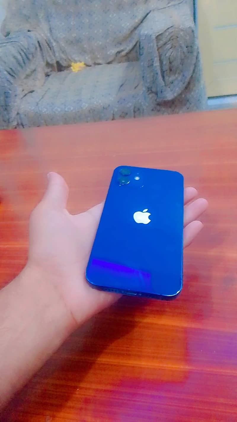 Apple iPhone 12 1