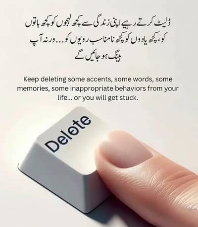 assigment wroter