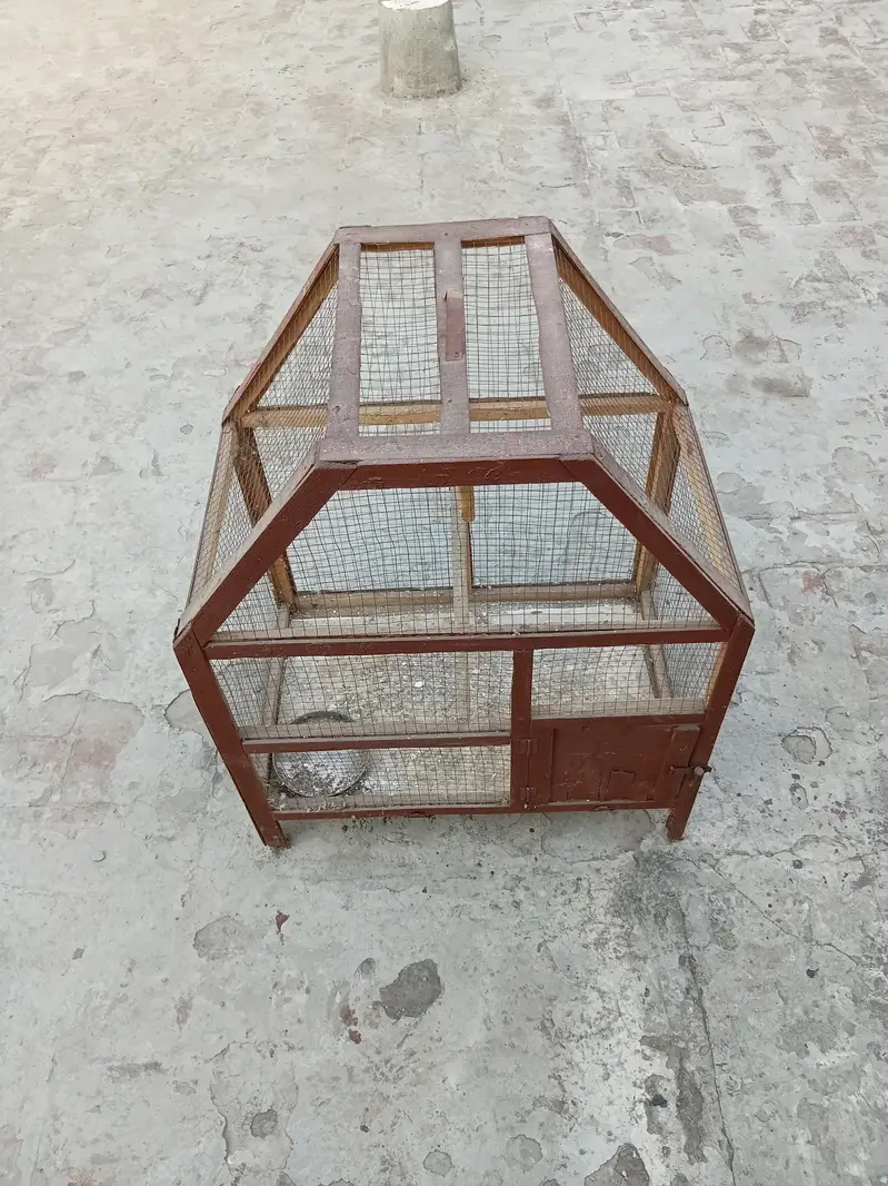 Cage for Birds — photo 2