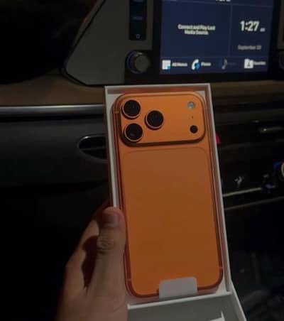 17 Pro Max  Factory Unlock (with Box)