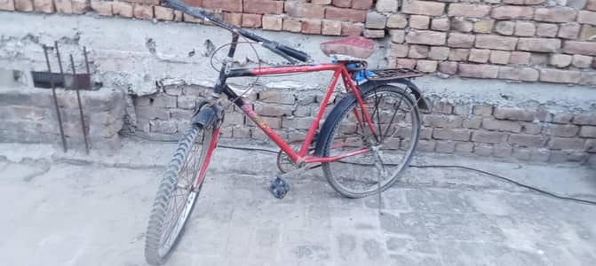 urgent cycle for sale