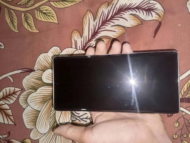 Google Pixel 6 Pro 1