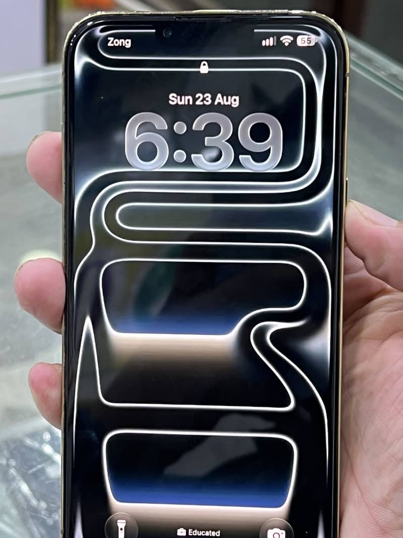 iphone 13 pro Max 1