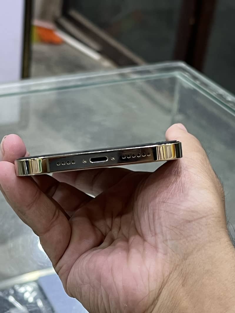 iphone 13 pro Max 2