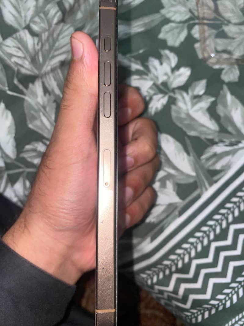 Apple iPhone 16 Pro Max 1