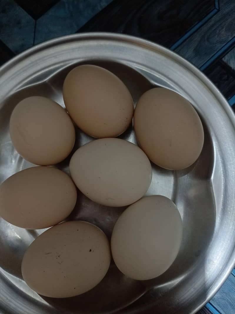 egg salad 0