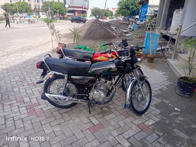 WhatsApp number 03135948851
