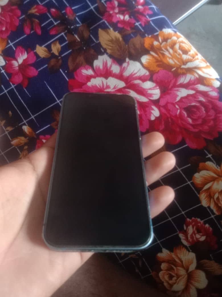 Apple iPhone 13 1