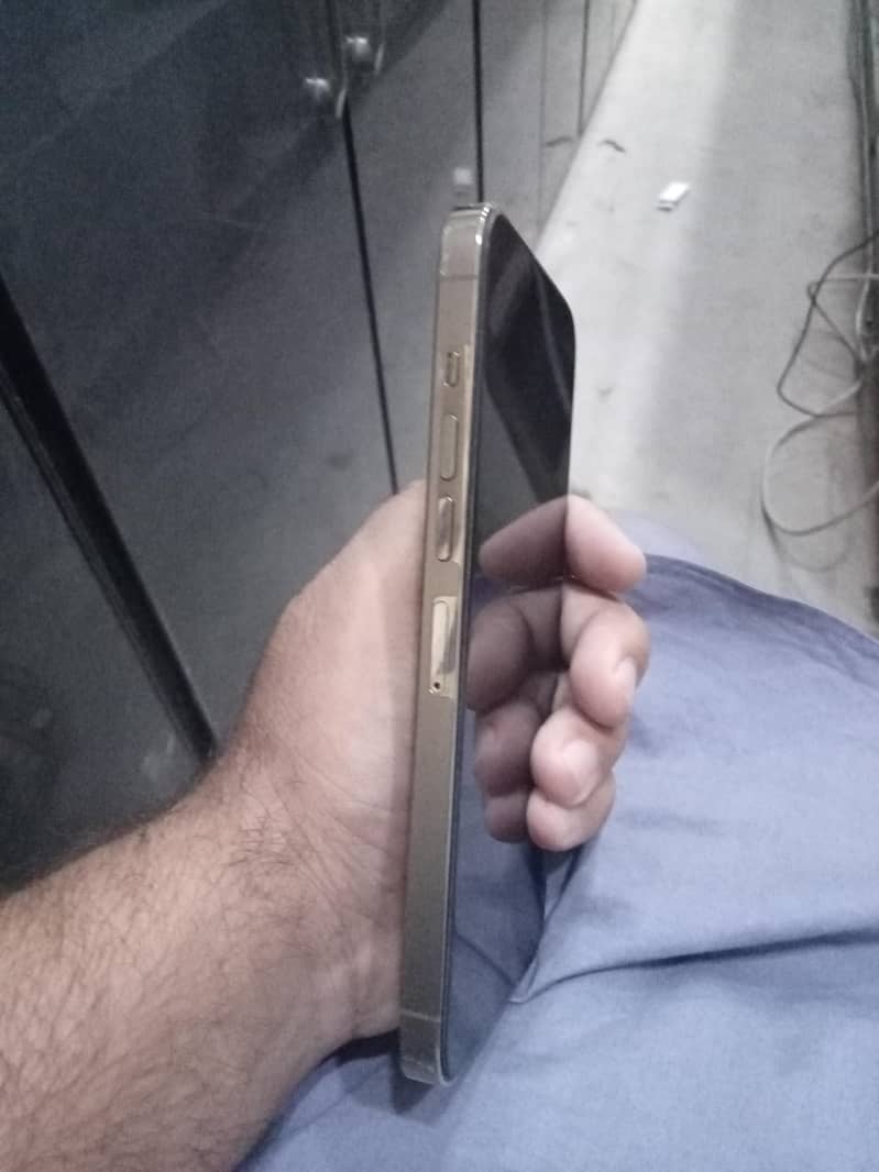 Apple iPhone 13 Pro Max 3