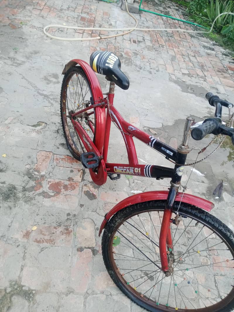 bicycle 1