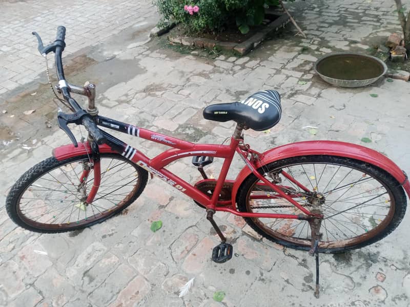bicycle 2