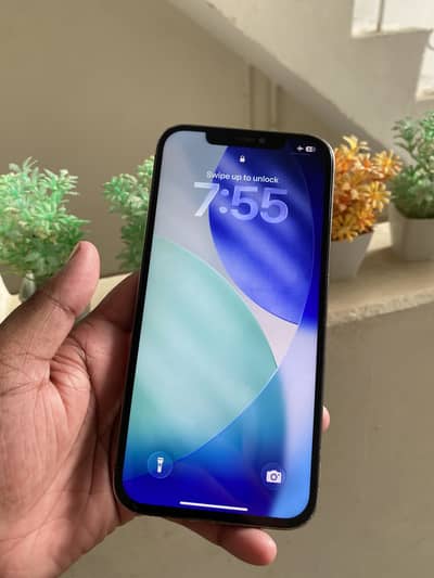 Apple iPhone 11 Pro Max 64 gb all ok face id off