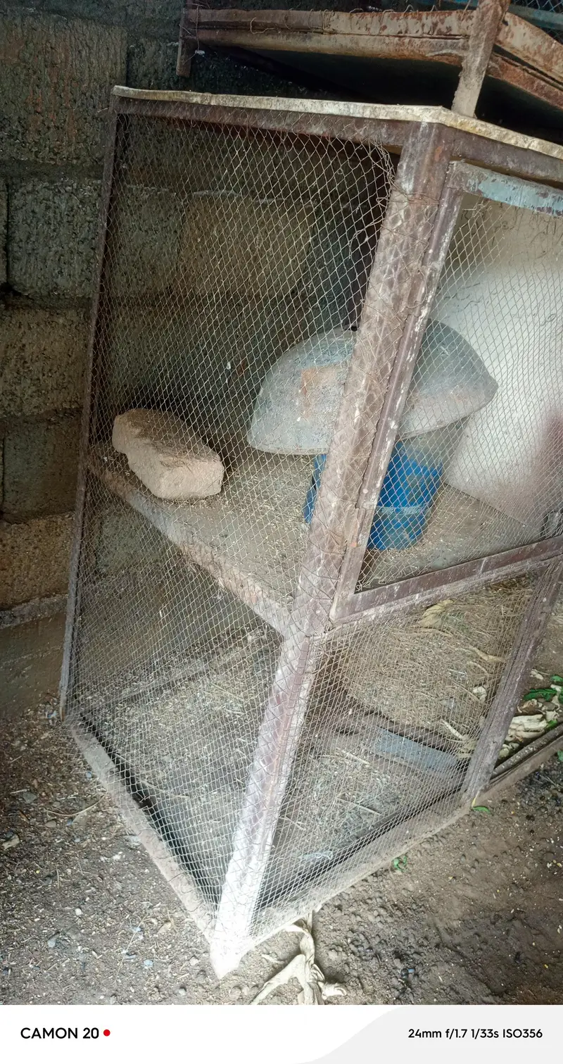 Cages 6 box — photo 3