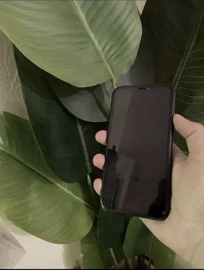 iphone xr jv