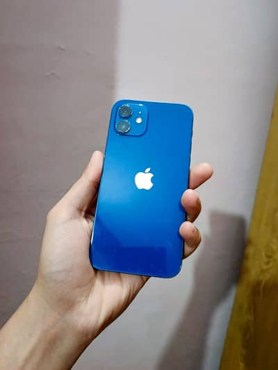 iPhone 12 non pta f/U 128gb.