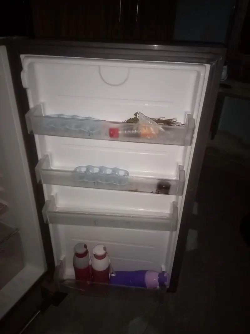 Haier fridge all okay full size