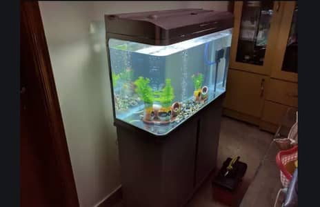 Fush Aquarium imported china