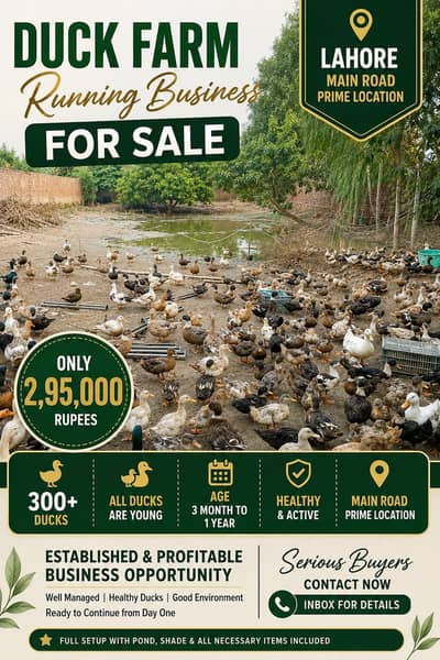 duck farm business for sell