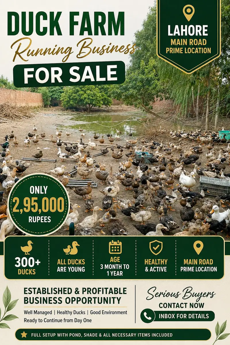 duck farm business for sell