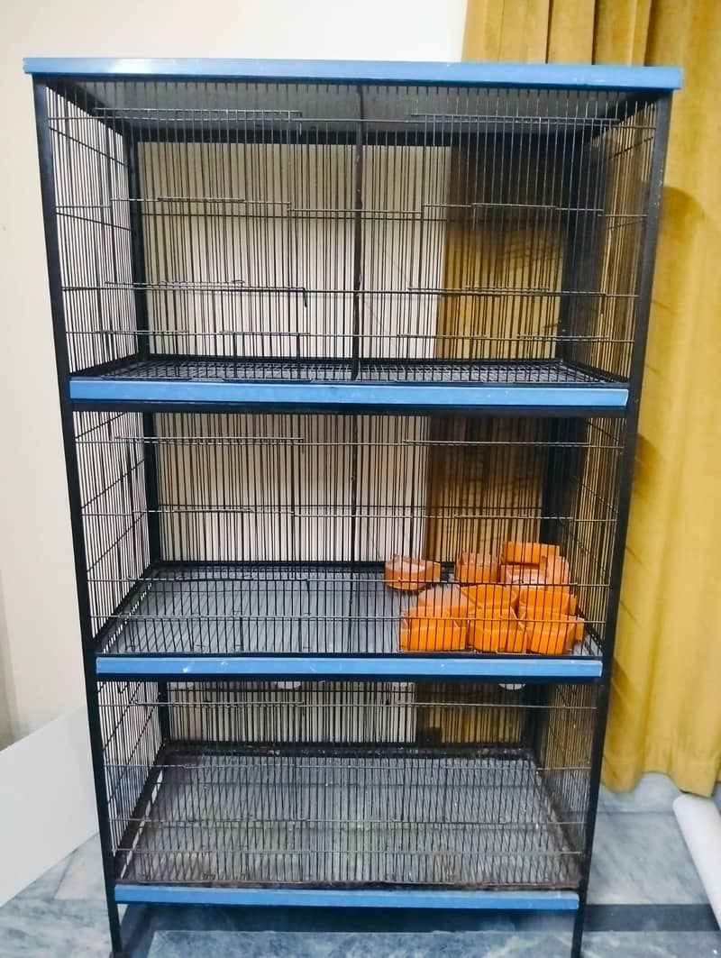 Bird Cage 0