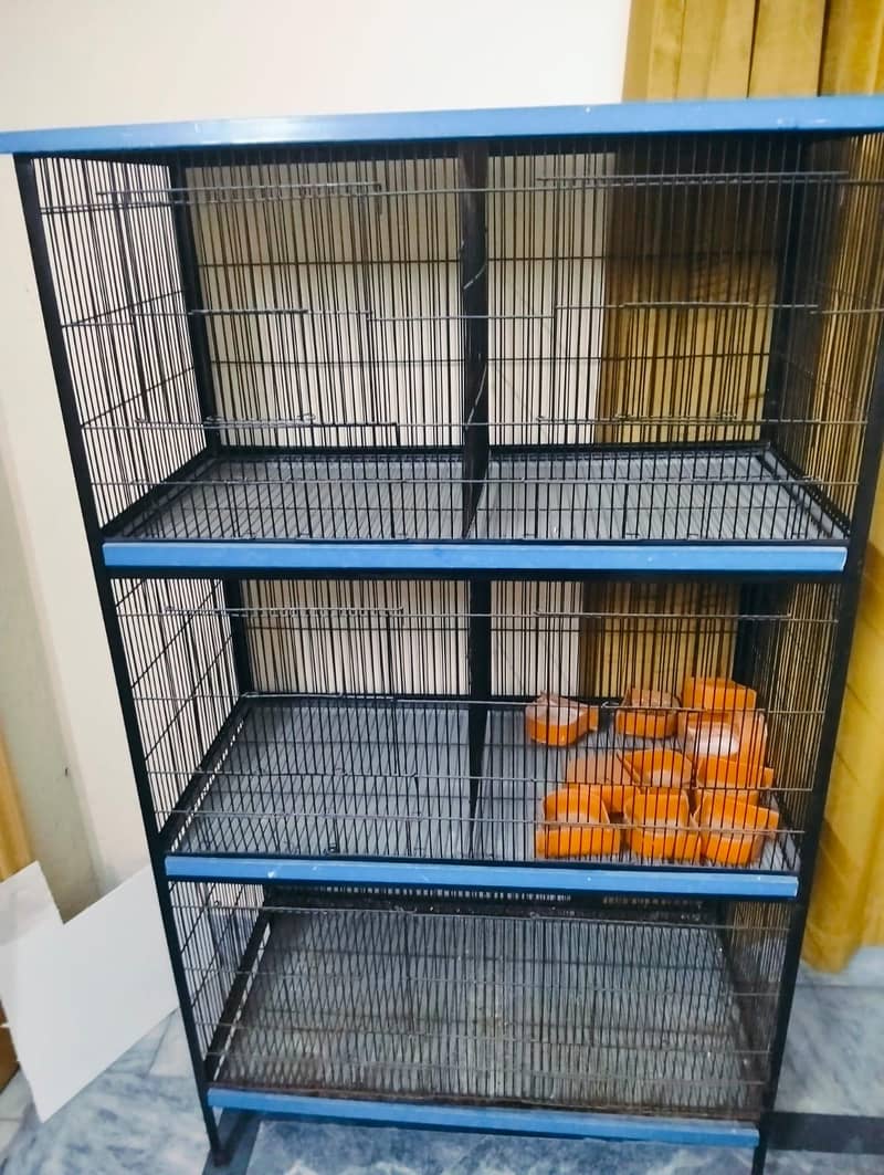 Bird Cage 1