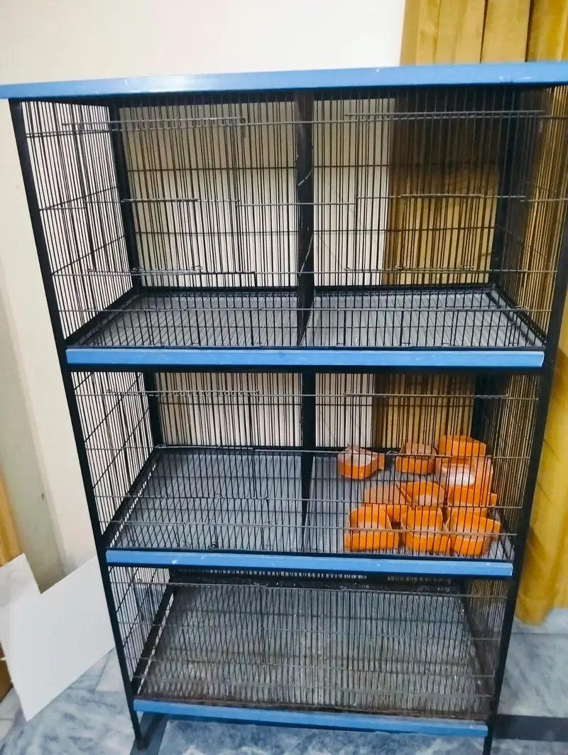 Bird Cage — photo 2