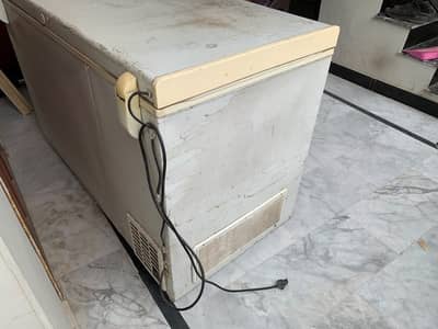 Waves 18 cubic feet freezer