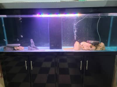 6 Feet Complete setup with Sump system installed.