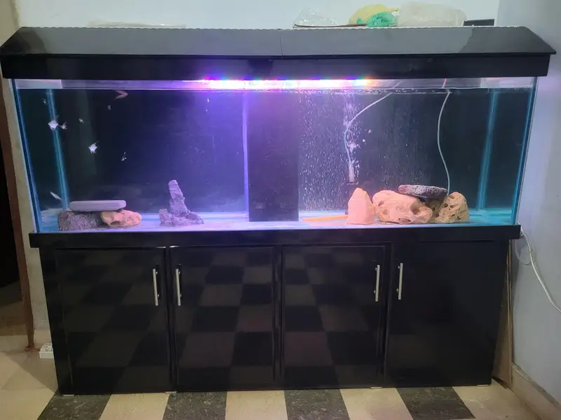 6 Feet Complete setup with Sump system installed. — photo 2